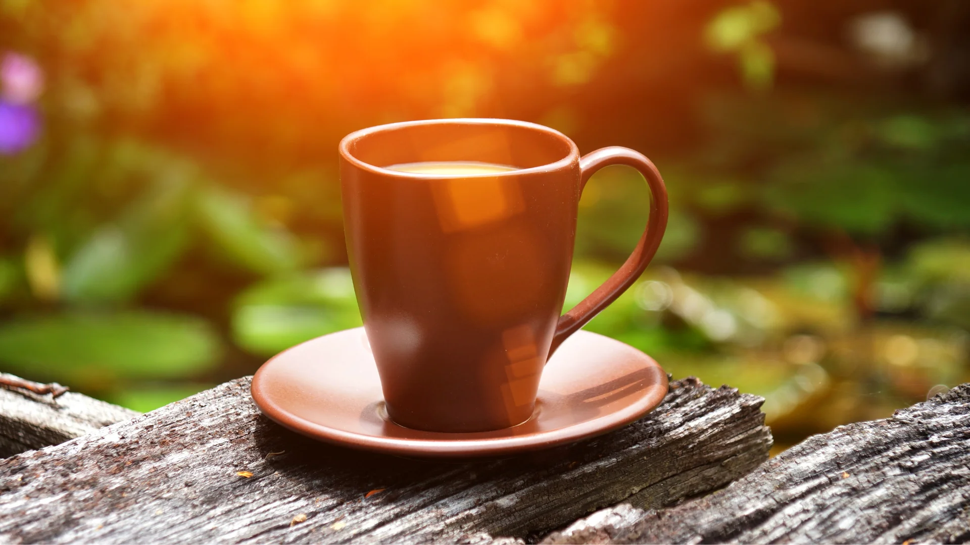 7 beneficios de tomar café todas las mañanas